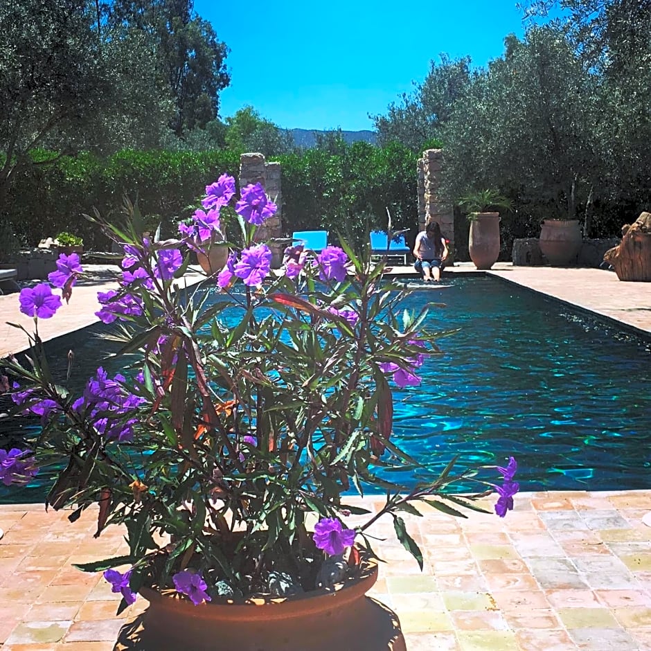 Sel d Ailleurs, Ouirgan - adults only