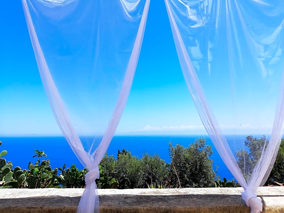 Alicudi Giardino dei Carrubi- al gradino 365