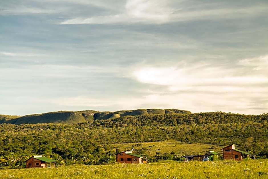 Raizando Ecologia Humana