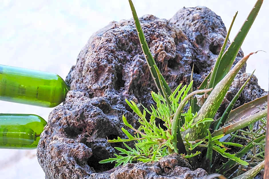 Seasons Lodge Zanzibar