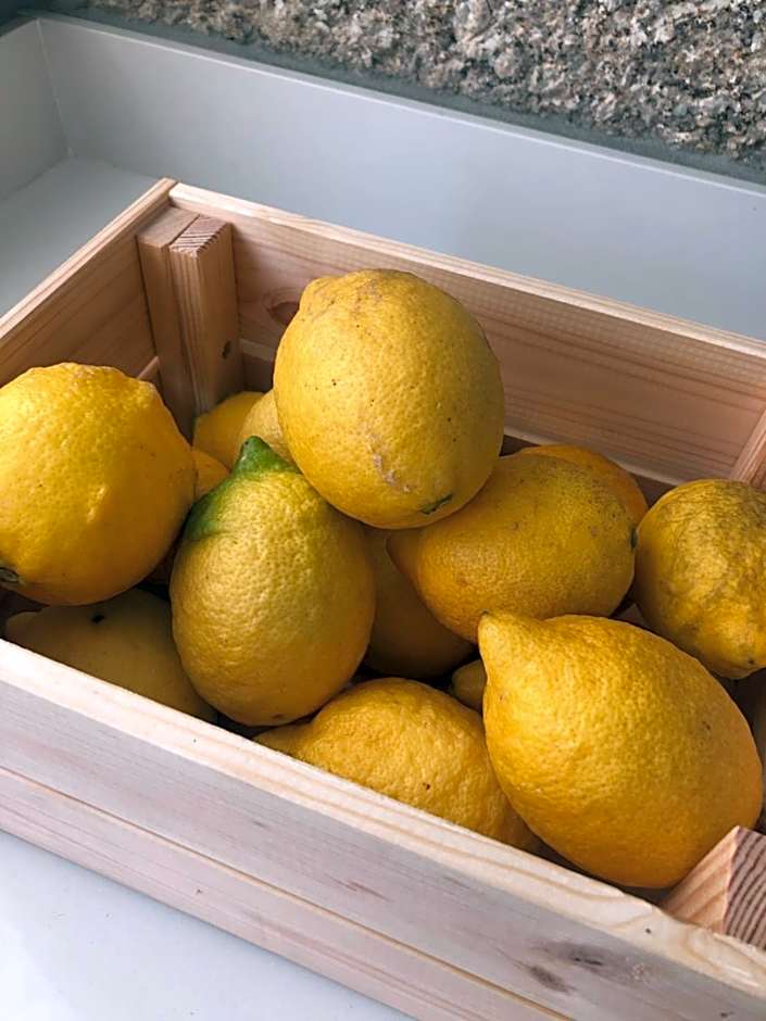 Sobreiro Valley - Casa Isabel