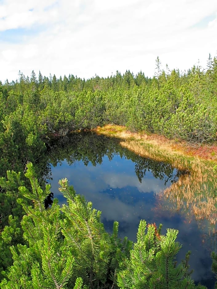 Hotel Srní depandance - Šumava
