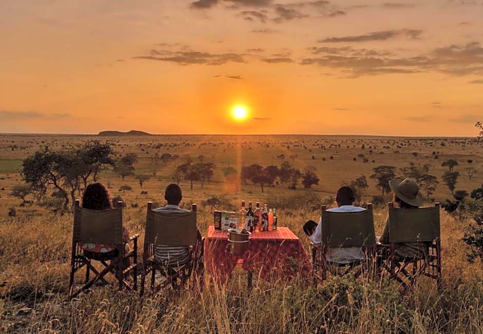 Salt Lick Safari Lodge