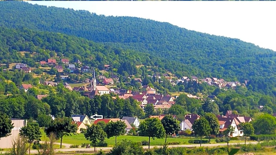Alsace nature et découvertes