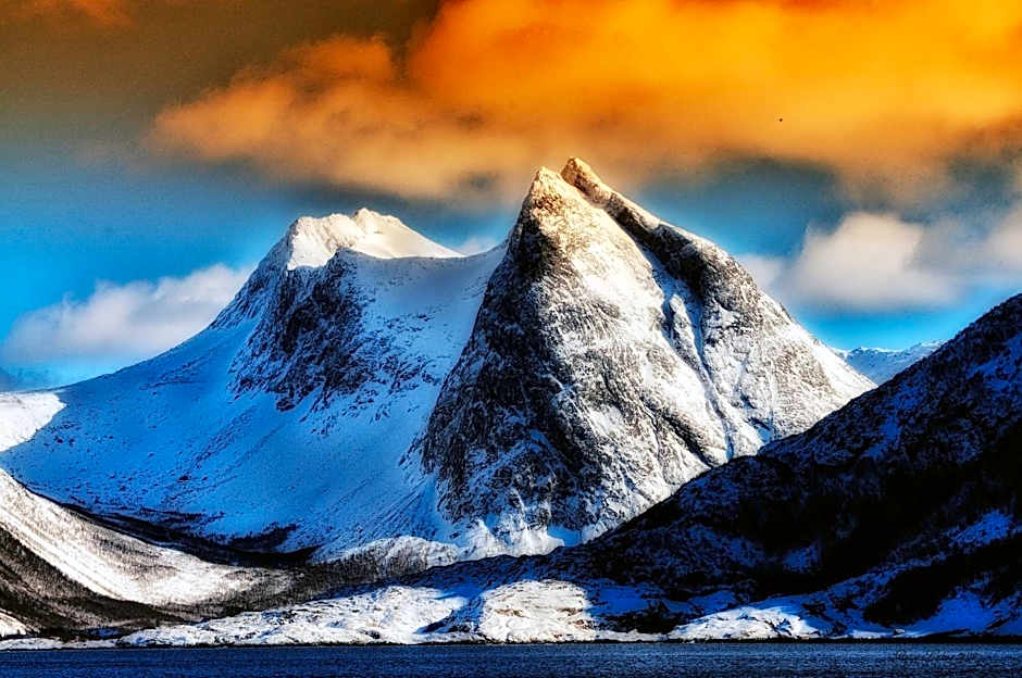 Senja Fjordhotell and Apartments