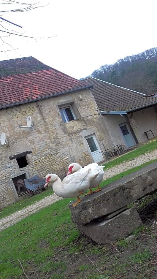 Domaine de Fontenelay