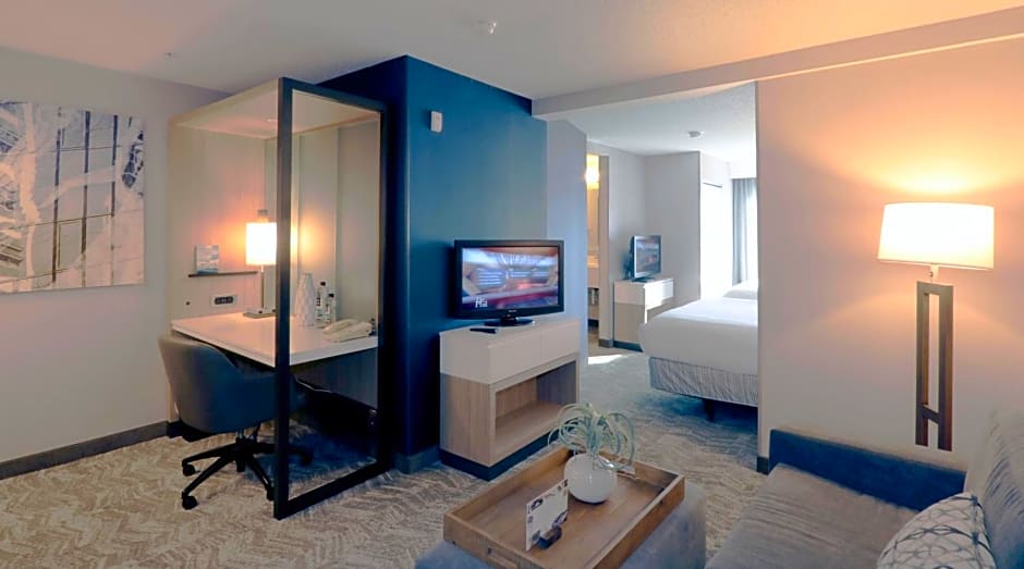 SpringHill Suites by Marriott Minneapolis West/St. Louis Park