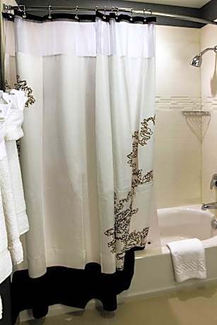 Suite, 1 Bedroom (1 King Bed and 1 Double Sofa Bed)