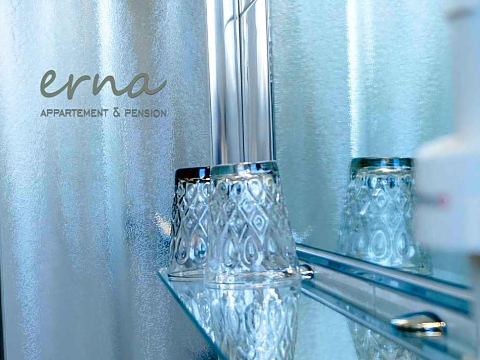 Pension Apartment Erna