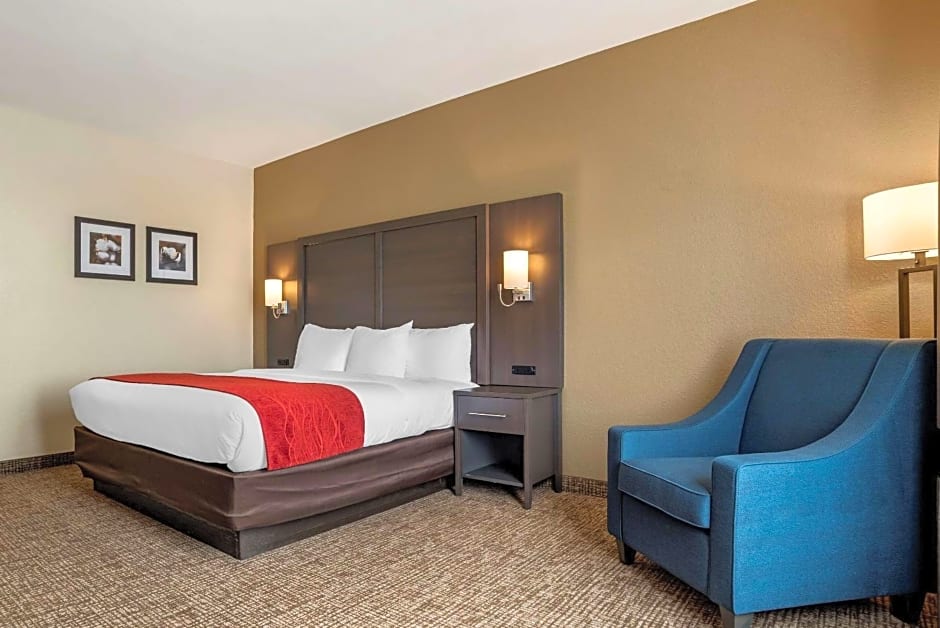 Comfort Inn & Suites Millbrook - Pratville