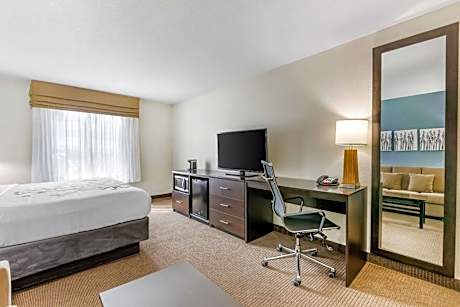 King Suite with Sofa Bed - Non-Smoking