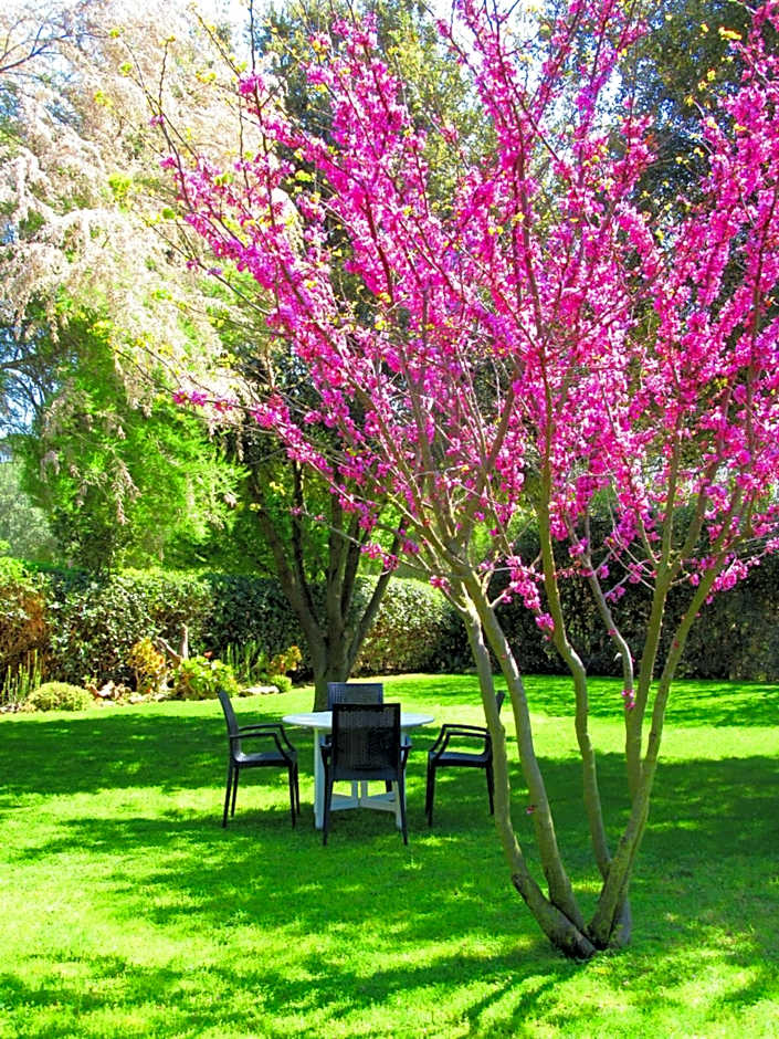 Agriturismo Serignano alle Rocchette