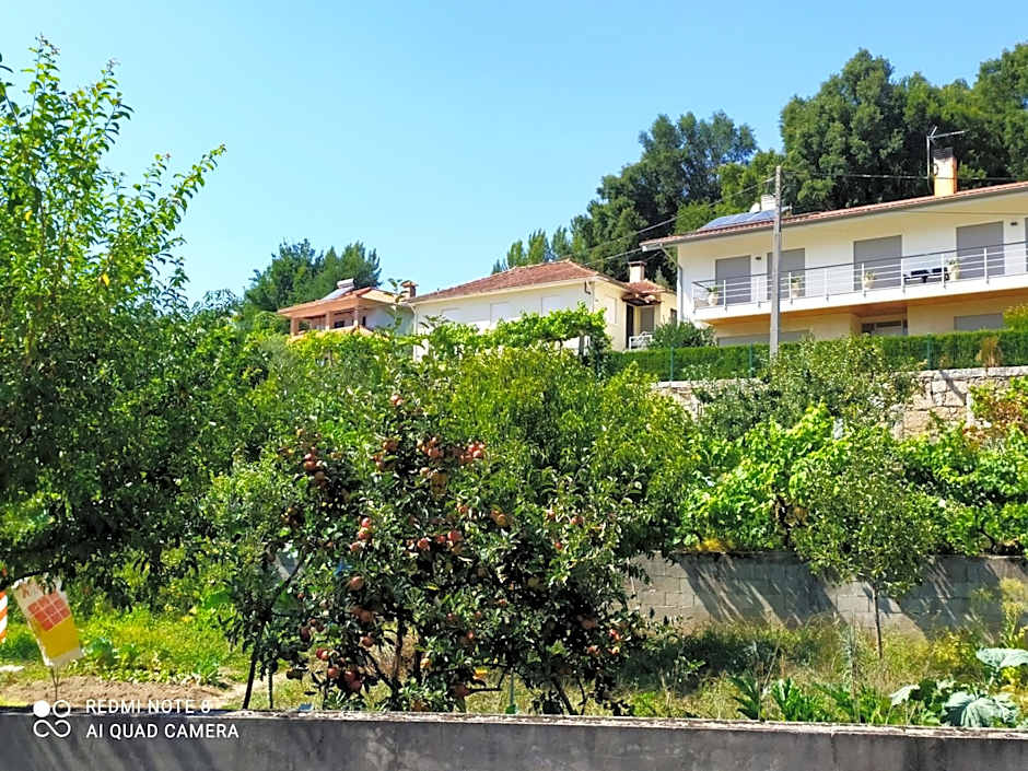 BellaVista Alojamento