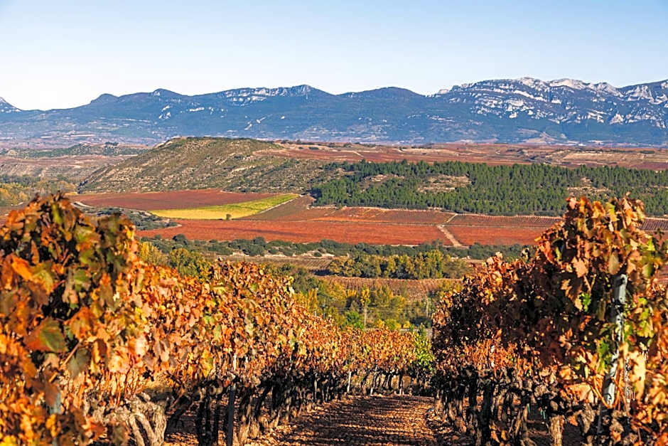 DWO Rioja Wine Hotel