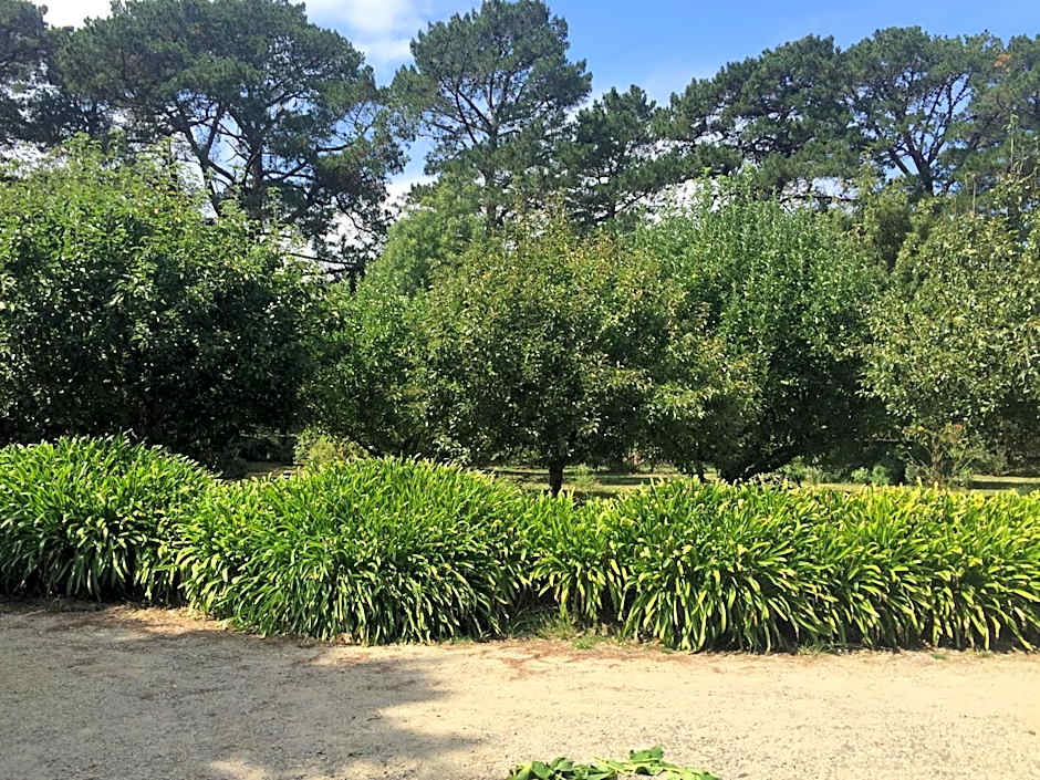 Sherwood Park bed and breakfast