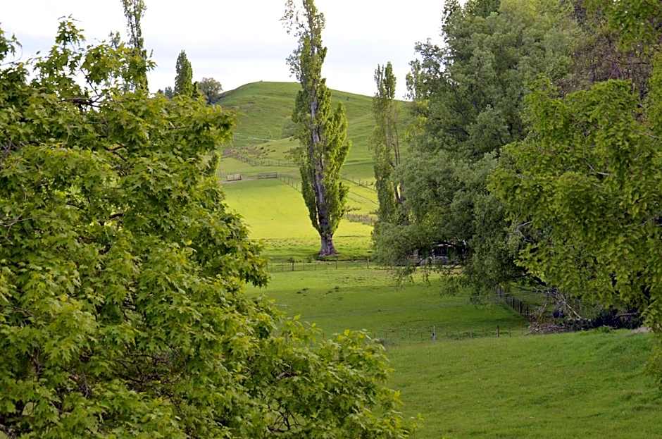Ashcott Homestead Bed & Breakfast