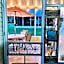 Coastal Imagination Sunny Dayz Oasis