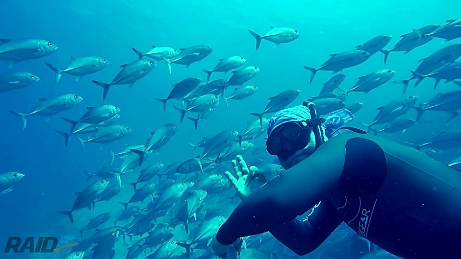 Kurma Yoga Dive and Beach Resort