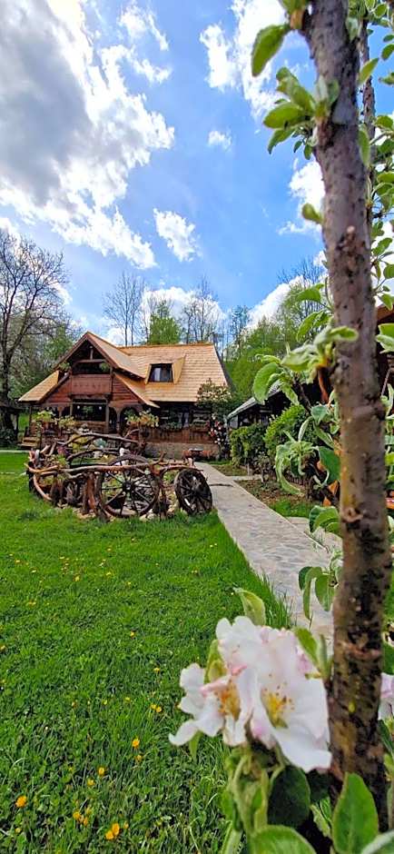 Pensiunea Rustic Oncesti