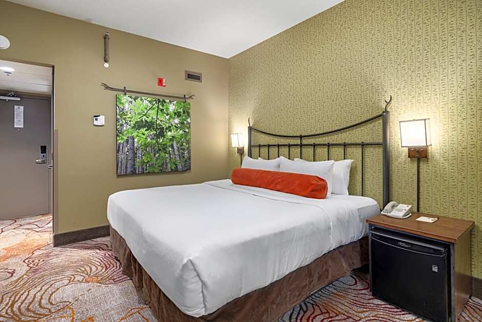 Banff Caribou Lodge And Spa