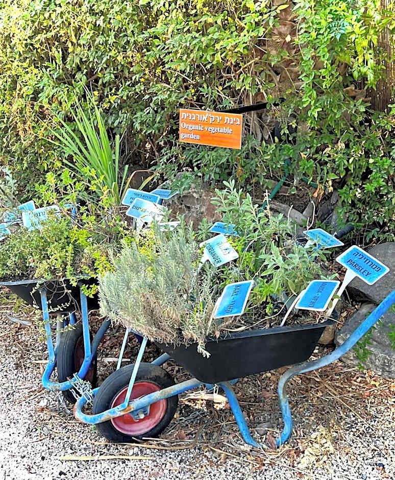 Magical in the Galilee