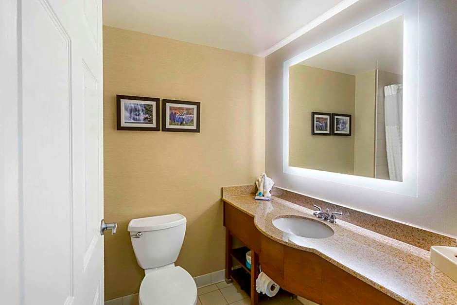 Comfort Inn & Suites Jerome