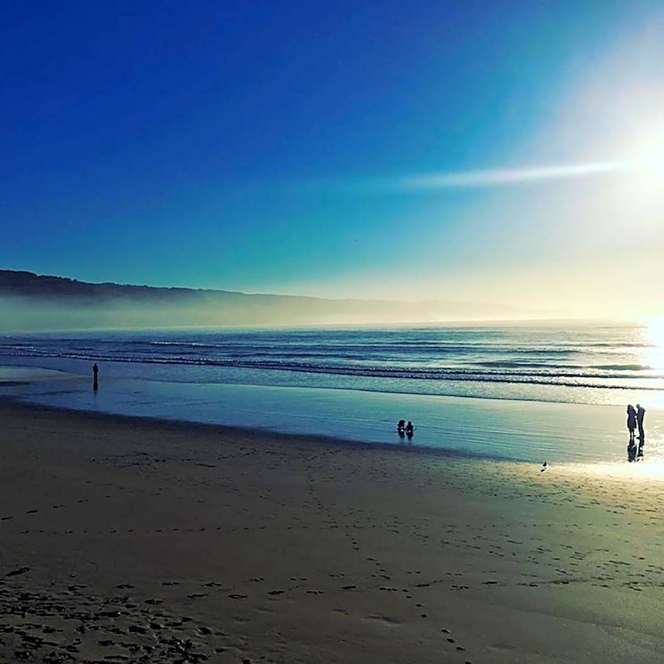 The Dolphin Apartments