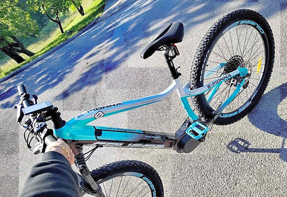 Hiša Wambrechtsamer - House Wambrechtsamer