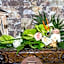 Aggello Boutique Hotel