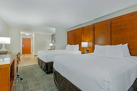 Queen Suite with Sofa Bed - Non-Smoking (No Pets Allowed)