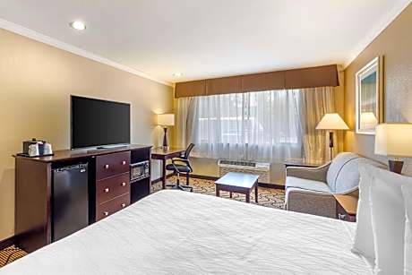 SUITE-1 KING BED,NSMK,EXEC WING,PILLOWTOP,TWO TV,SOFABED,FULL BREAKFAST