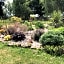 Le jardin des fées