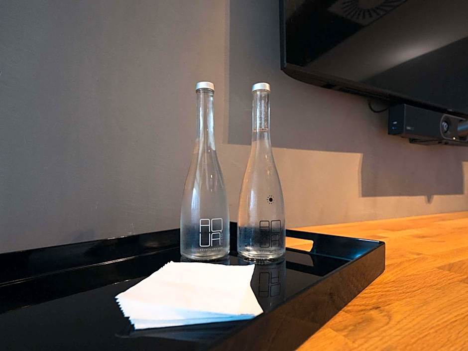 greet hotel Cernay Mulhouse