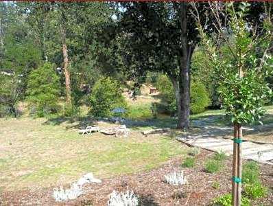 Queen's Inn By The River