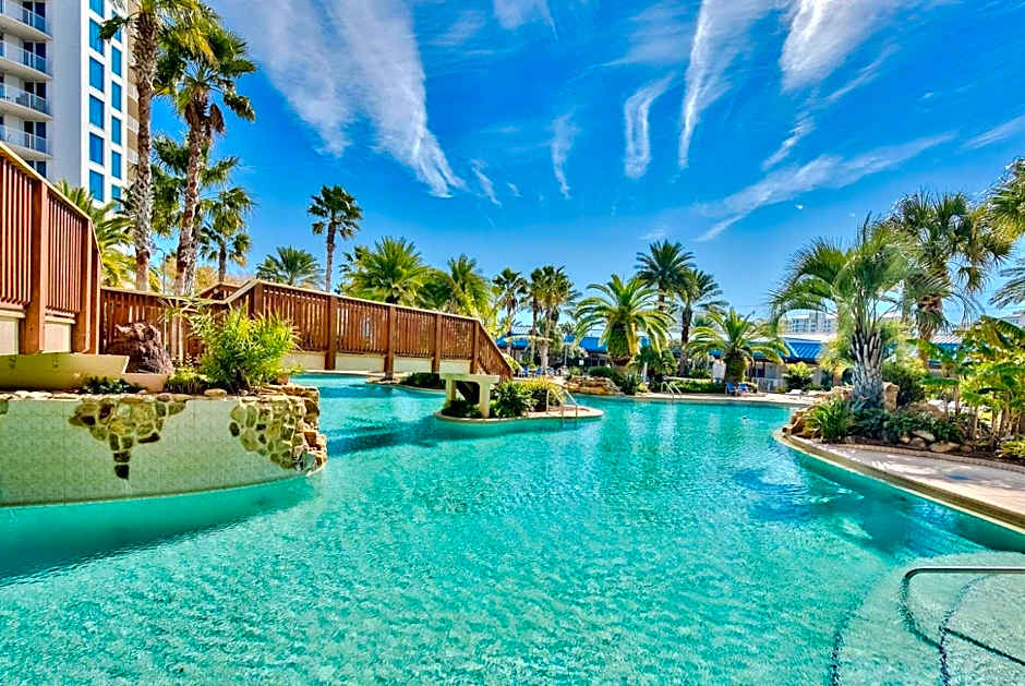The Salty Palm