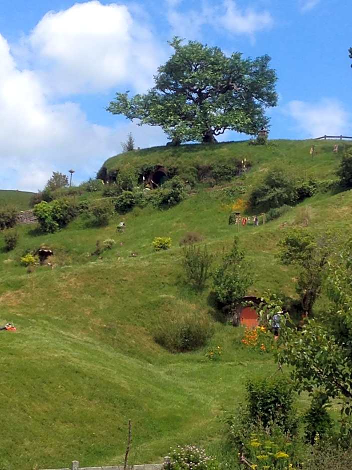 Cosy Country Stay B&B