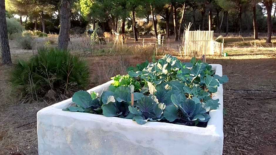 miCielo - Baumhäuser