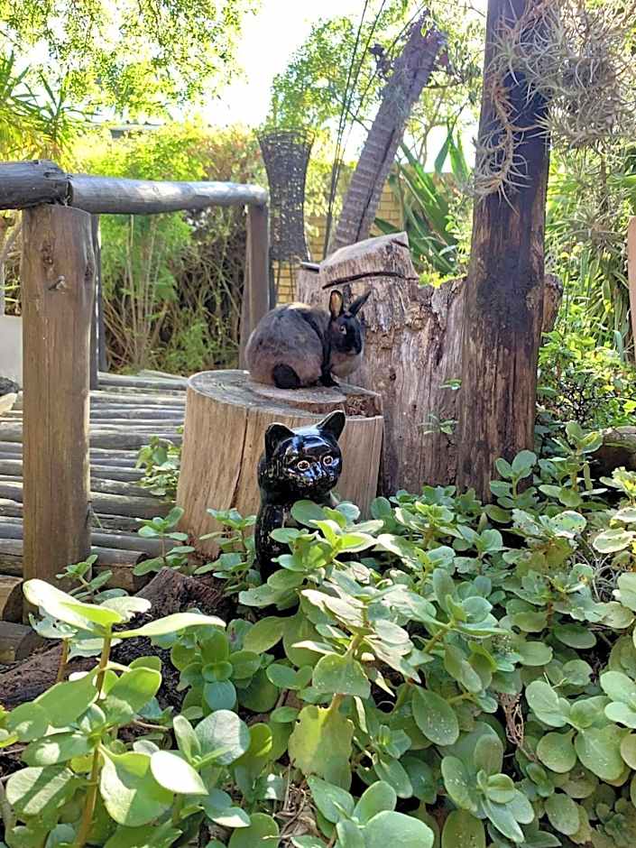 The Little Hideaway Guesthouse