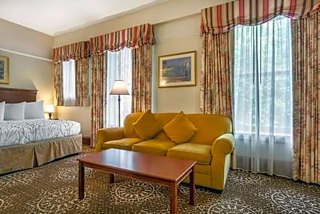 King Room with Sofa Bed