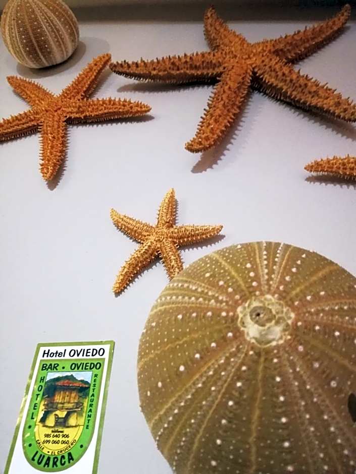 Hotel Restaurante Oviedo