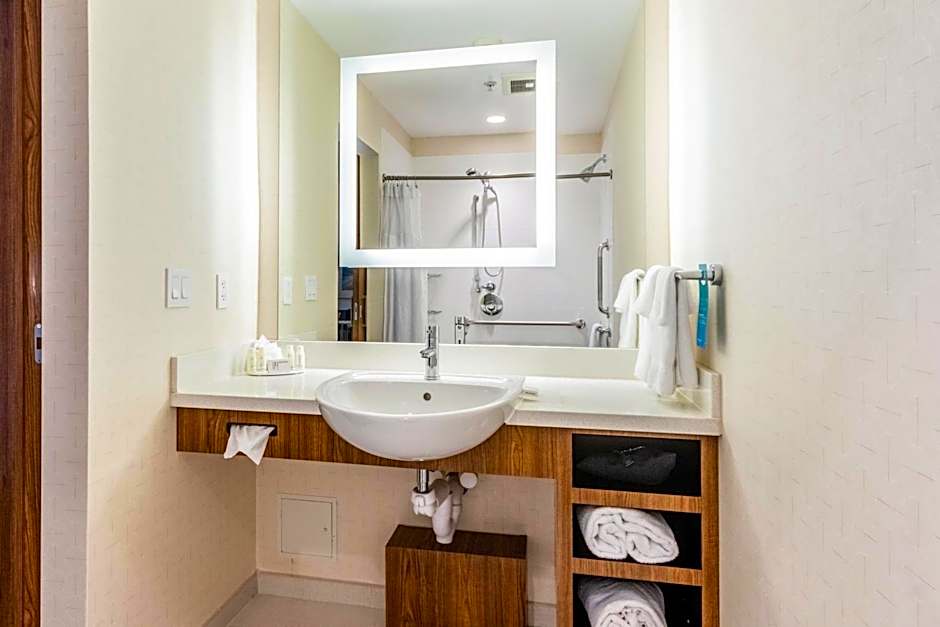 SpringHill Suites by Marriott Dallas Plano/Frisco