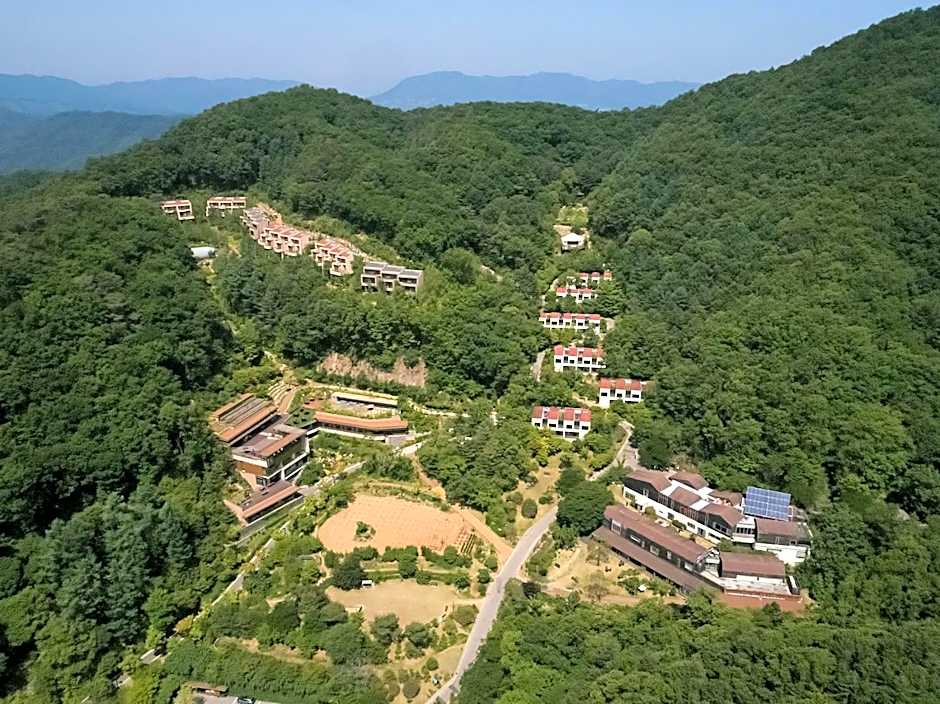 Healience Village