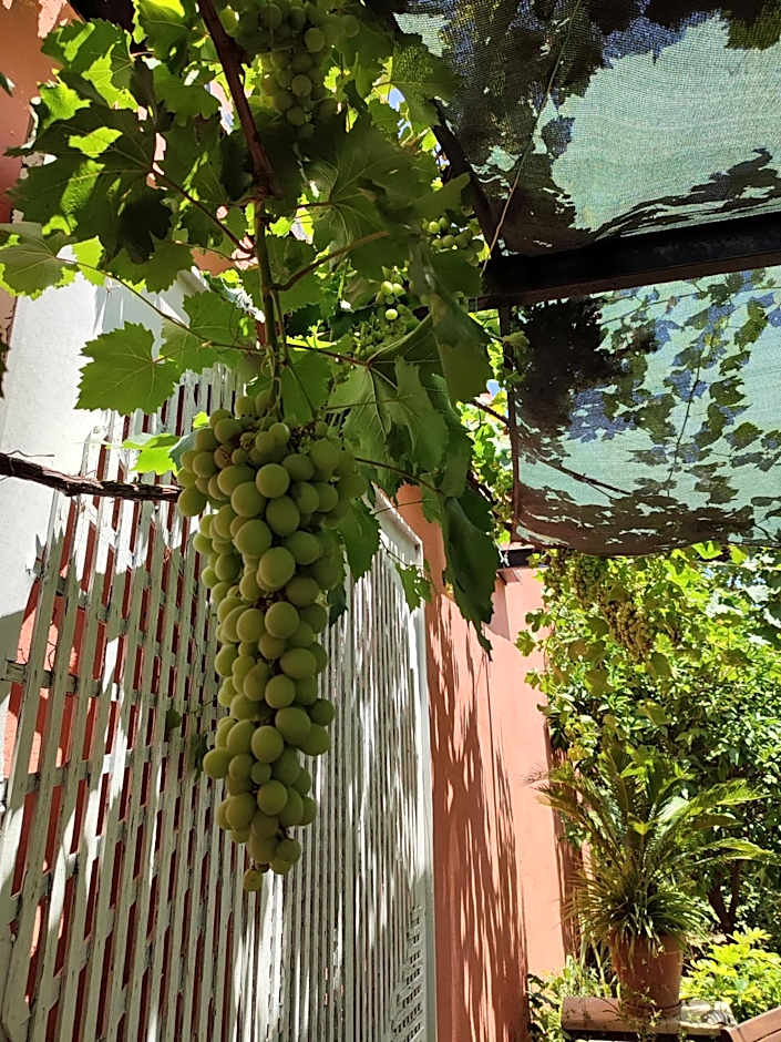 Tavira Townhome with private Garden