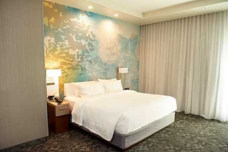 Suite, 1 King, Sofa bed