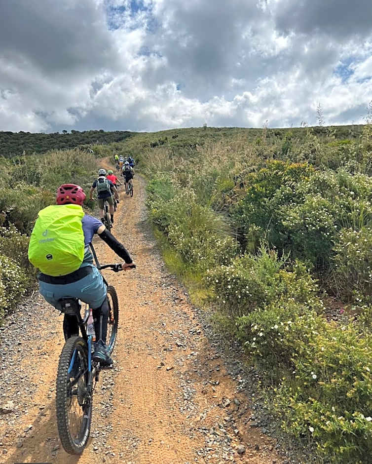 Madonna del Poggio B&B