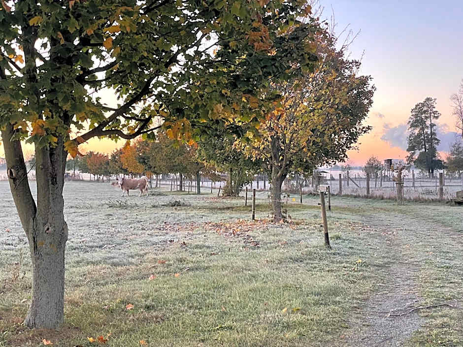 Christinenhof & Spa - Wellnesshotel am Rande des Spreewalds