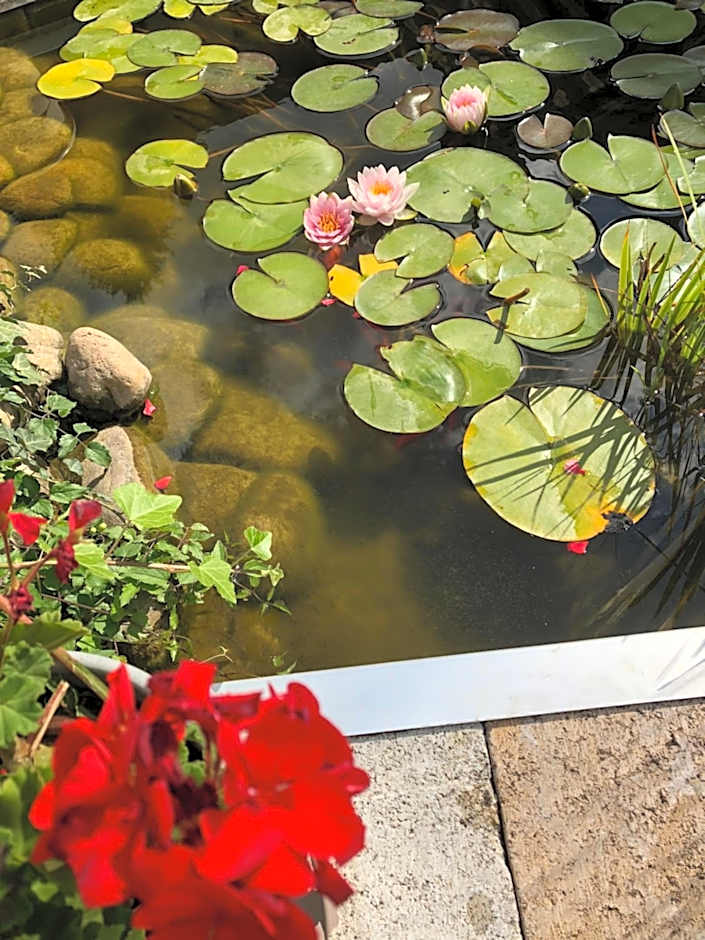 Les Tilleuls Montbeliard Sud Audincourt