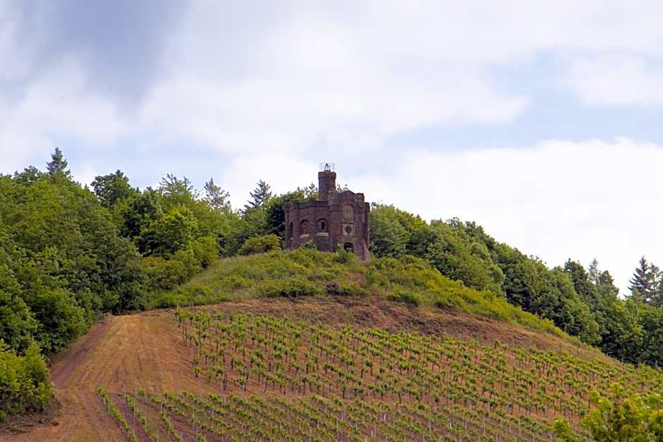 Alembra - Wein Style Hotel