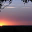 Tingala Lodge - Bed in the Bush
