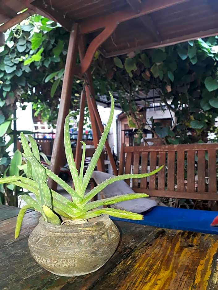 Arjuna Garden Homestay